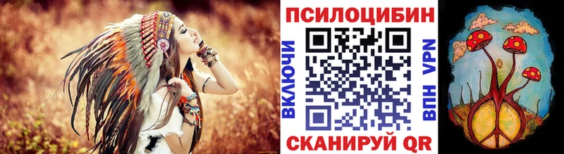цены наркотик  Кохма  Псилоцибиновые грибы Psilocybine cubensis 